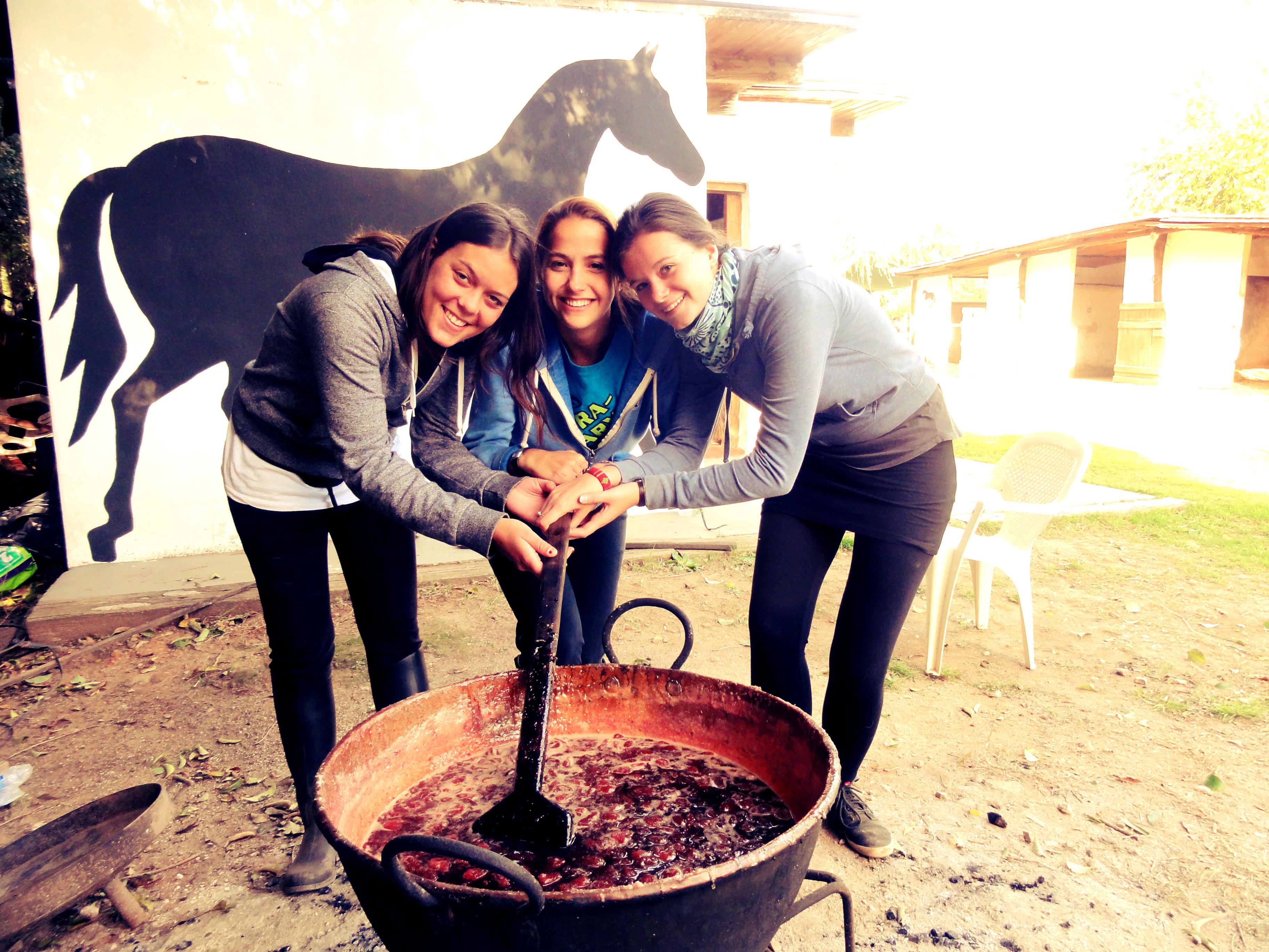 A group of interns work together to clean stables during their Equine Therapy internship in Argentina. Projects Abroad Equine Therapy interns team up to clean stables in Argentina.